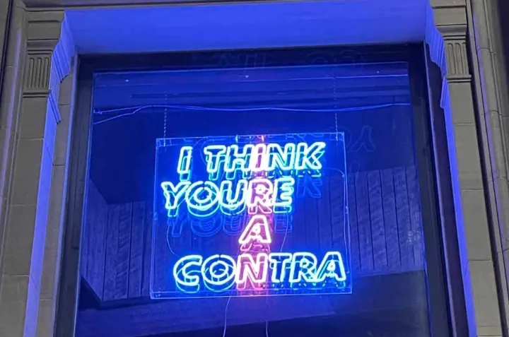 پایین‌کشیدن اثر هنری یک هنرمند ایرانی-کانادایی از جشنواره نورپردازی وینیپگ